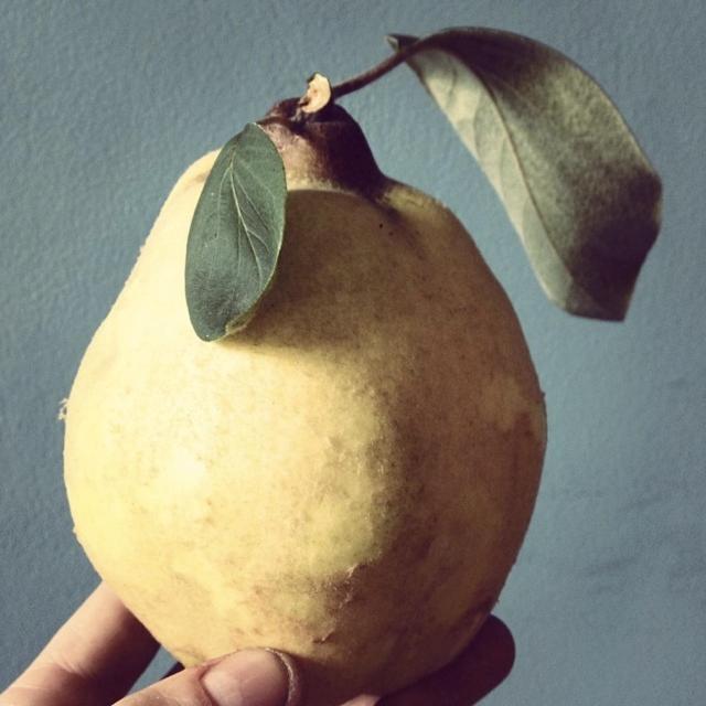فندق Kasteel Baexem المظهر الخارجي الصورة